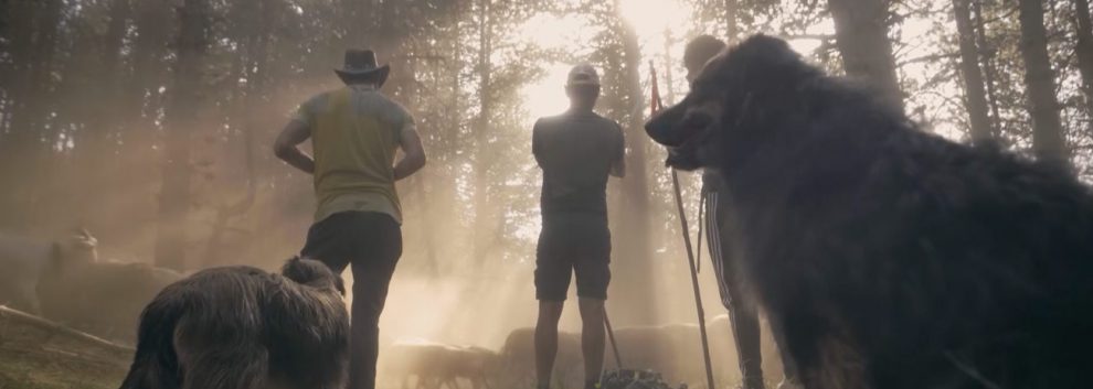 ENTRE OVEJAS: Ricky Merino y Nacho Vidal