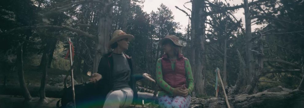 ENTRE OVEJAS: Ágatha Ruiz de la Prada y Antonia Dell’Atte